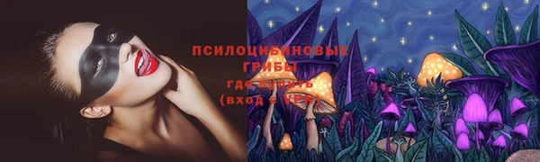 прущие крисы Инта