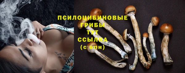 ALPHA-PVP Инсар