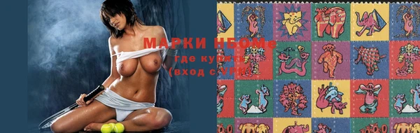 прущие крисы Инта