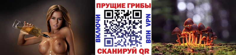 Купить закладки  Тавда  Галлюциногенные грибы ЛСД 